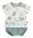 Conjunto pololo Java