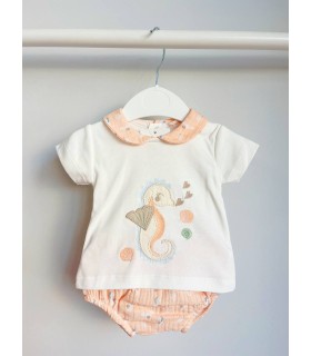 Conjunto braga caballito de mar