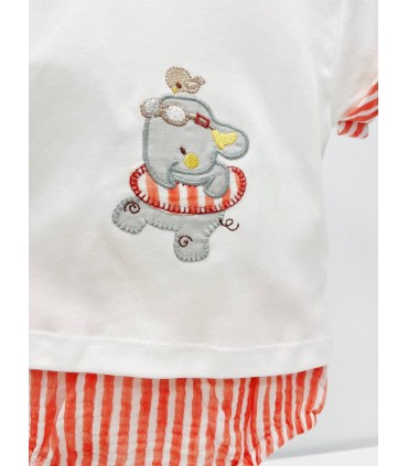 Conjunto elefante flotador