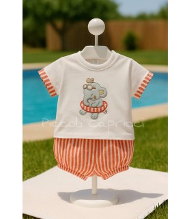 Conjunto elefante flotador